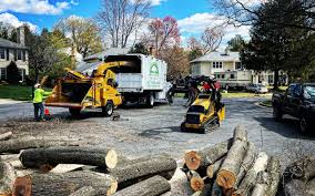 Trusted Lake Goodwin, WA Tree Removal and Landscaping Services Experts